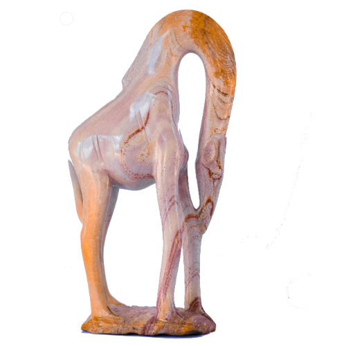 includes/images/products/PR31634046749/Giraffe_Downfacing (1) (1).jpg